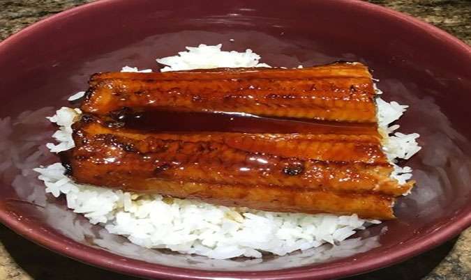 Unagi Rice ( Grilled Eel)