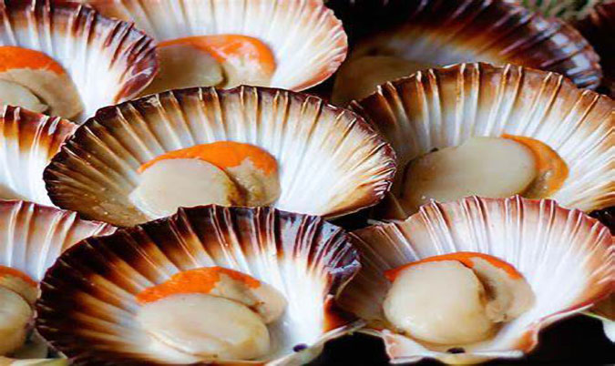 Tassie Scallops