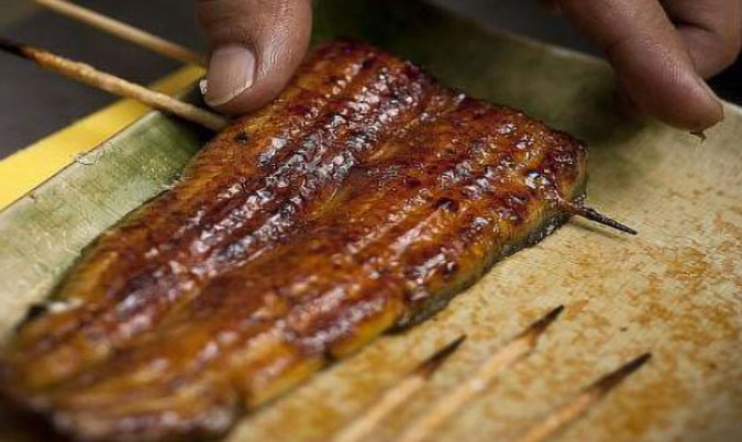 Unagi Eel Bento