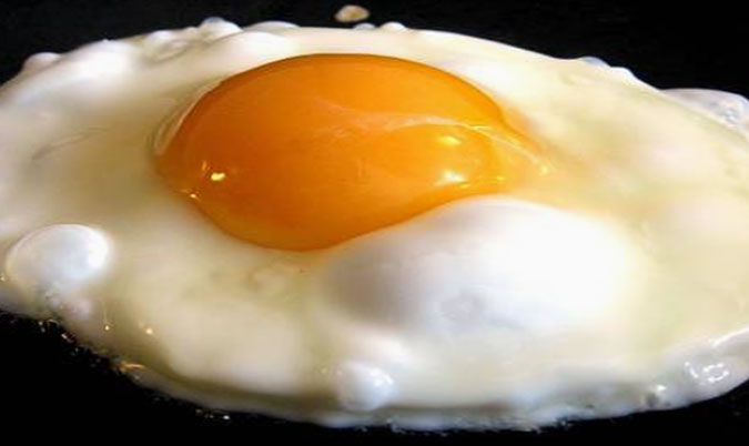 Fried Egg