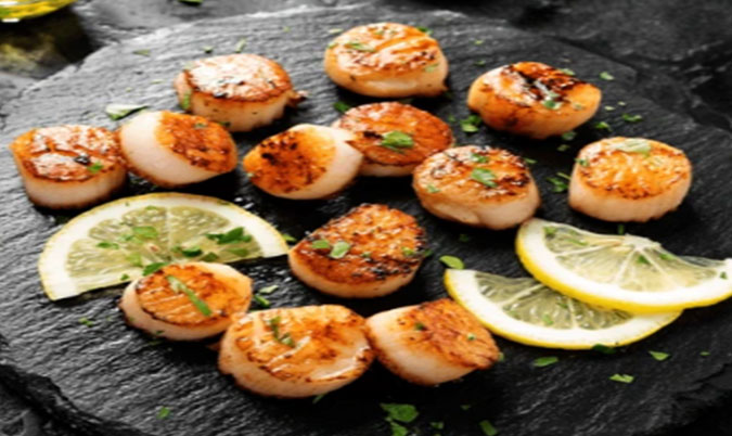Scallops