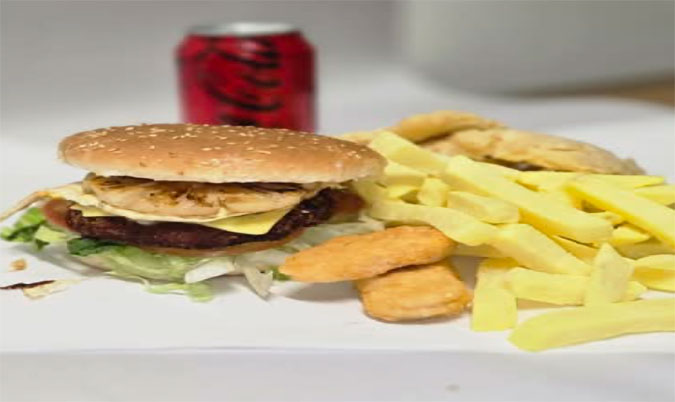 Chicken Burger Combo