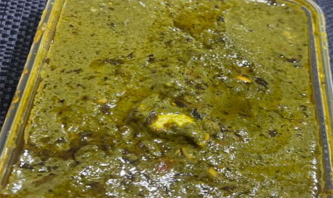Saag Paneer (V)