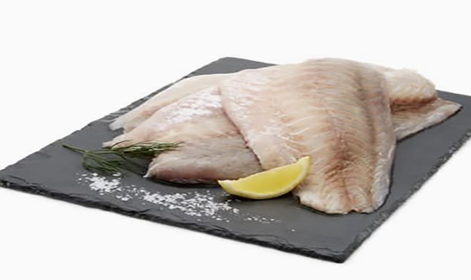 Barramundi