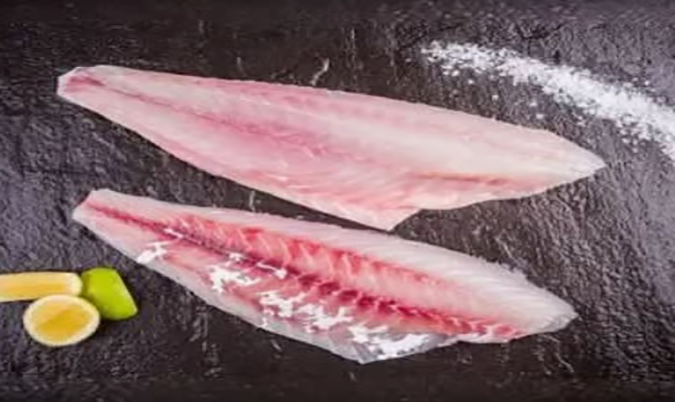 Snapper