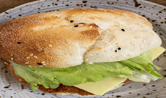 HGS Chicken Snitz Burger